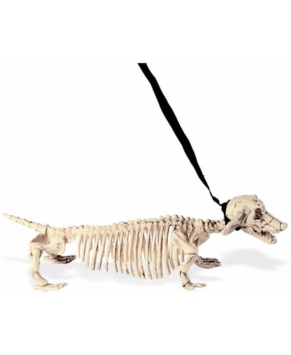 Honden skelet aan riem - Feestdecoratievoorwerp - One size