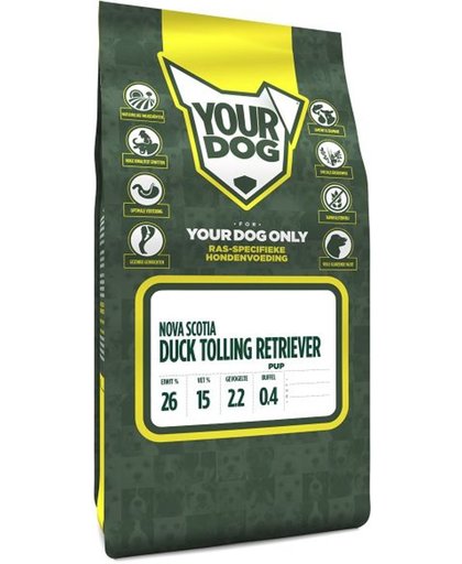 Yourdog nova scotia duck tolling retriever pup
