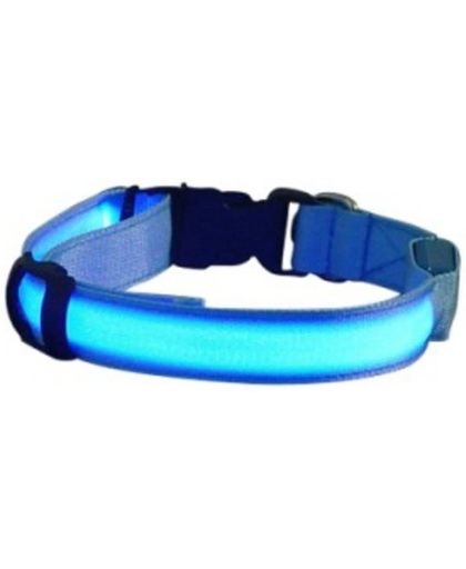 LED lichtgevende hondenhalsband | Maat S | Blauw