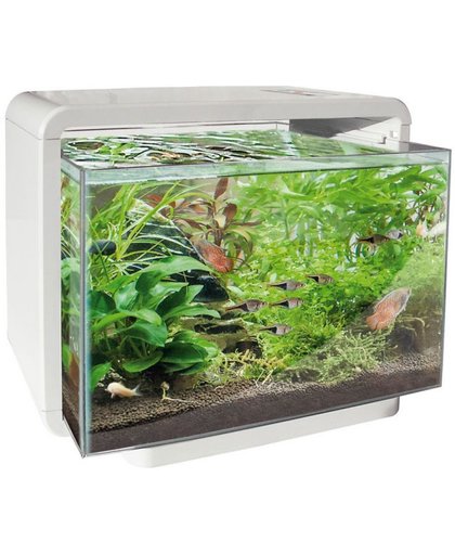 SuperFish Home Aquarium - 34x25x28.5 cm - 15L - Wit