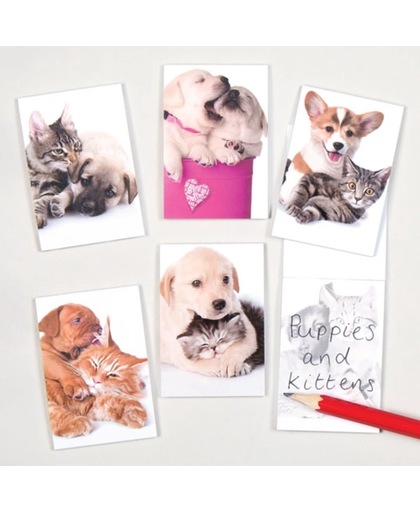 Geurige notitieboekjes met puppy en kitten voor kinderen – een leuk cadeautje voor uitdeelzakjes voor kinderen (verpakking van 12)