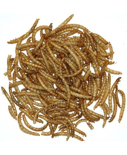 Gevriesdroogde meelwormen 100 gram - set van 4 stuks