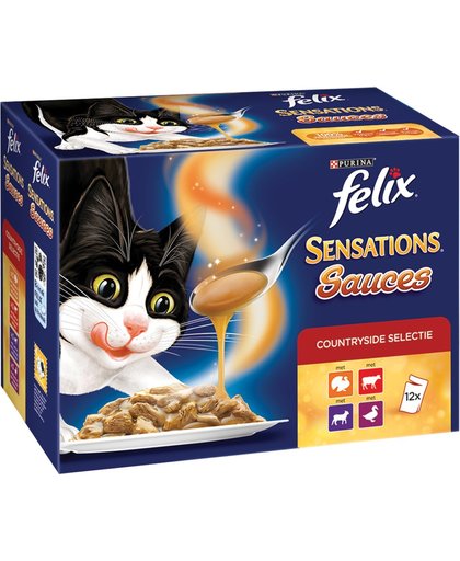 FELIX Sensations Saus Vlees - 48-pack -  Kattenvoer - 4 x (12 x 100) gr