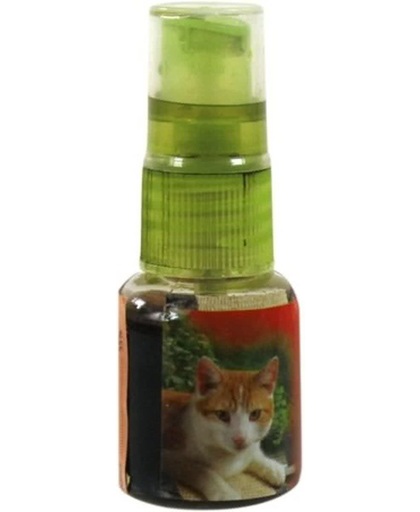 Beeztees Catnip in Spray - Kattenkruid - 30 ml