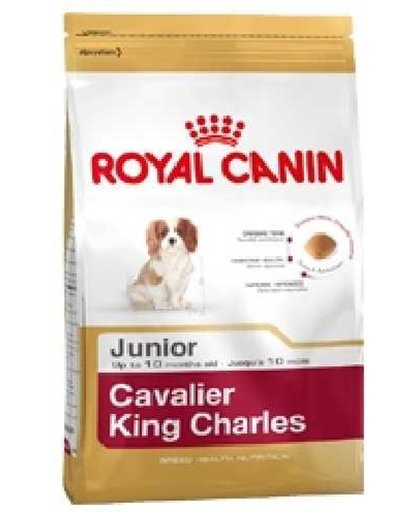 Royal Canin Cavalier King Charles Junior- Hondenvoer 500 gr