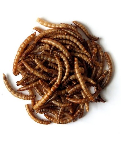 Gevriesdroogde meelwormen - 5,5 liter - set van 2 stuks