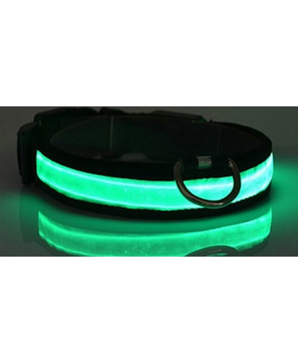 LED verlichte hondenhalsband - groen - maat S