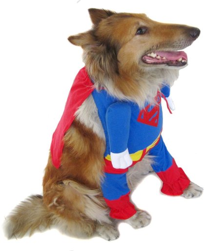 Superman kostuum voor de hond - L-L (lengte rug 63 cm, omvang borst 78 cm, omvang nek 60 cm)