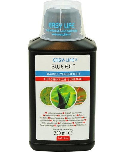 Easy life blue exit - 1 st à 250 ml