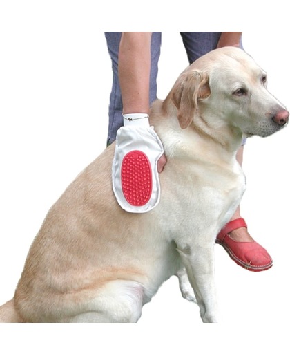 Hondenhandschoenborstel - Wasmachine veilig