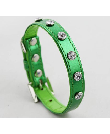 Honden halsband in de kleur groen - S halsband 21-28 cm