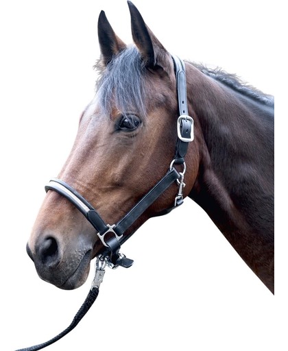 HKM Lederen halster -Fabienne- zwart Pony