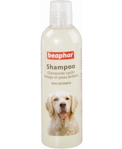 Beaphar Shampoo Hond Glanzende Vacht - 250 ml