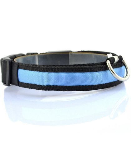 Led honden halsband, lichtgevend met optie knipperend licht. kleur blauw