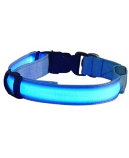 LED lichtgevende hondenhalsband | Maat L | Blauw | REBL