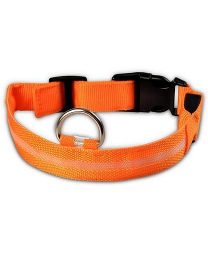 Hondenriem Halsband met ingebouwde LED verlichting en batterij / Oranje L-size / HaverCo