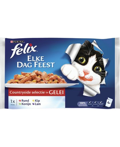 FELIX Elke Dag Feest - Vlees - Kattenvoer - 400 gr