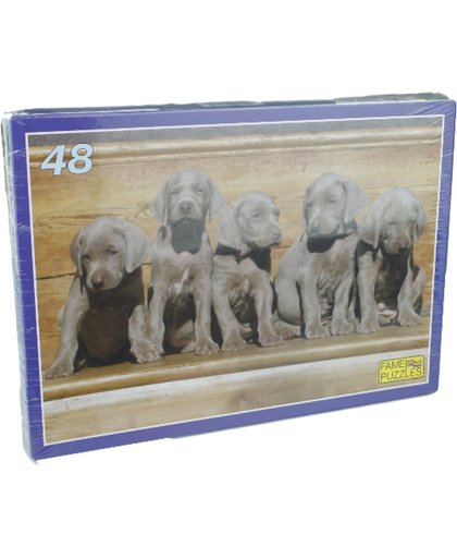 Puzzel Labrador pups - 48 stuks