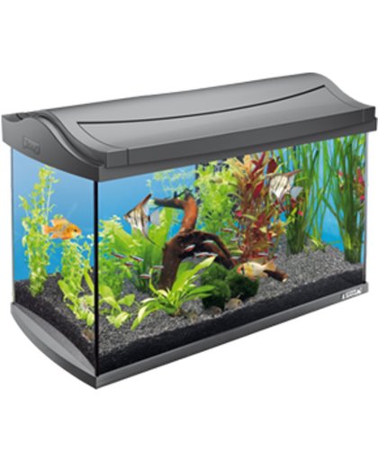Tetra Aqua-Art LED Aquarium 61x33.5x42.7 cm - 60L - Antraciet