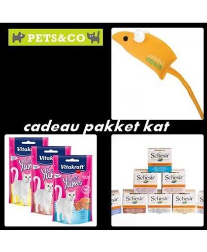 Cadeau pakket Kat/ Kitten - verwen pakket kat - dierendag pakket