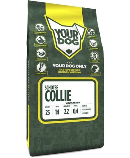 Yourdog Schotse Collie Volwassen - 3 KG