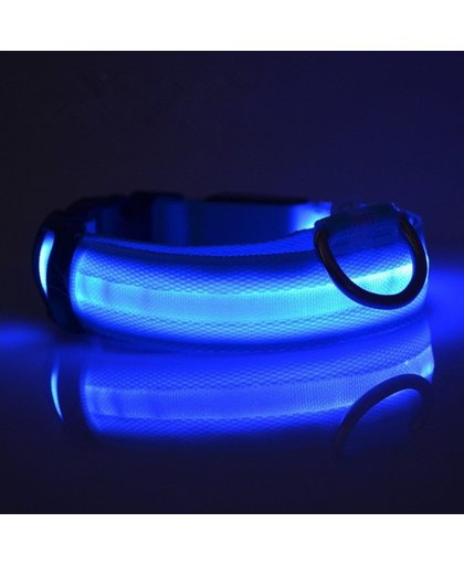 LED Reflecterende Honden halsband- Blauw
