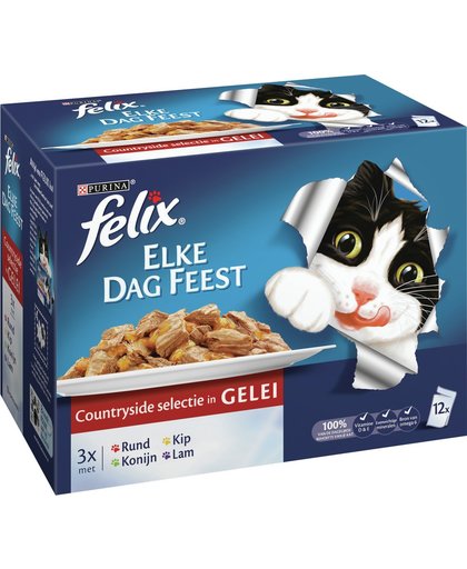 FELIX Elke Dag Feest - Malse reepjes in Gelei - Vlees - Kattenvoer - 12 x 100 gr