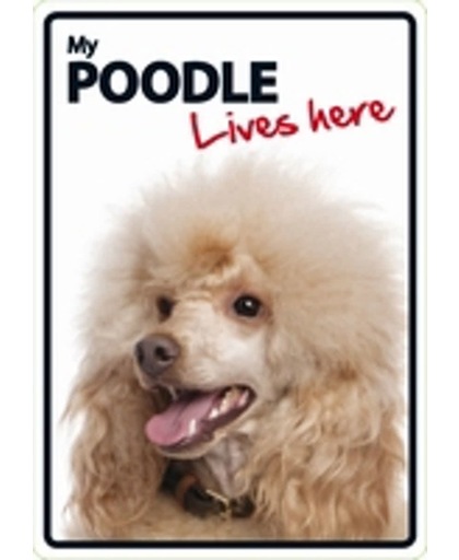 Poodle lives here