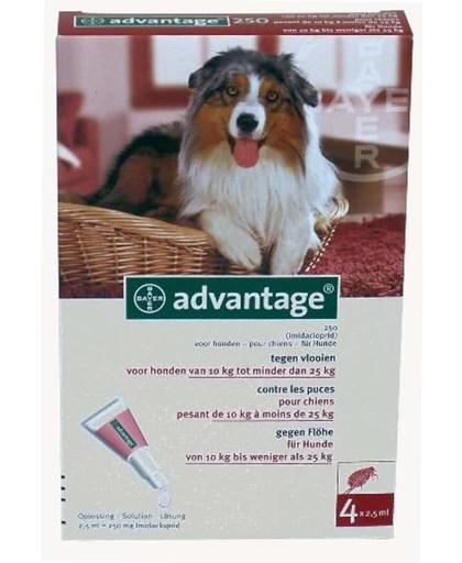 Advantage 250 Anti vlooienmiddel Hond - 4 pipetten