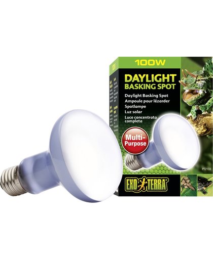 Daylight Basking Spot lamp 100W