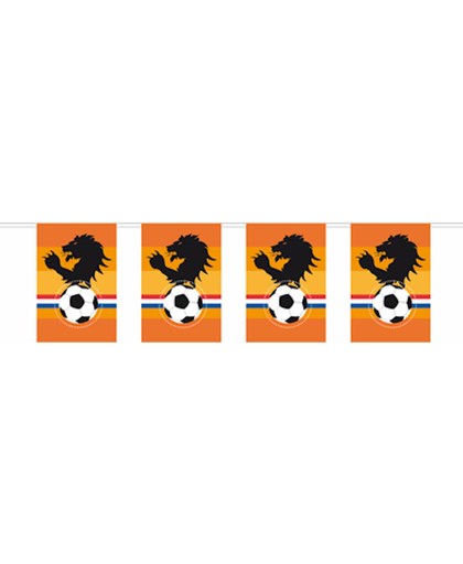 Oranje voetbal vlaggenlijn leeuw
