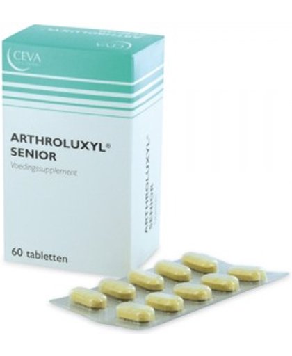 Arthroluxyl senior 6x10 tabletten