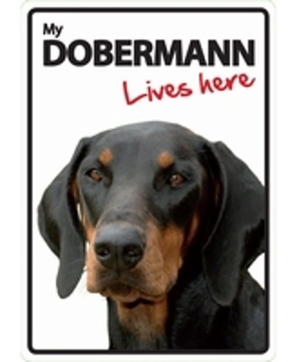 Dobermann lives here