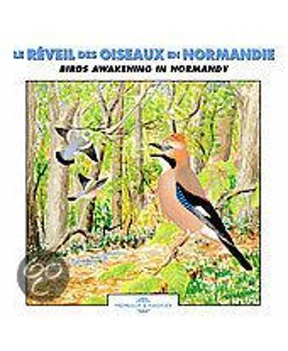 Birds Awakening In  Normandie