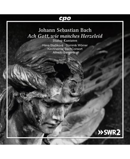 Johann Sebastian Bach: Ach Gott, Wie Manches Herzeleid/...