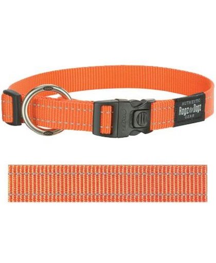 Rogz For Dogs Fanbelt Halsband - Oranje - 20 mm x 34-56 cm