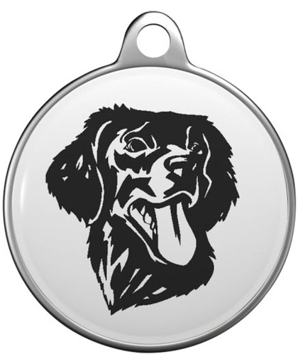 Flatcoated retriever Tommy Tag F006