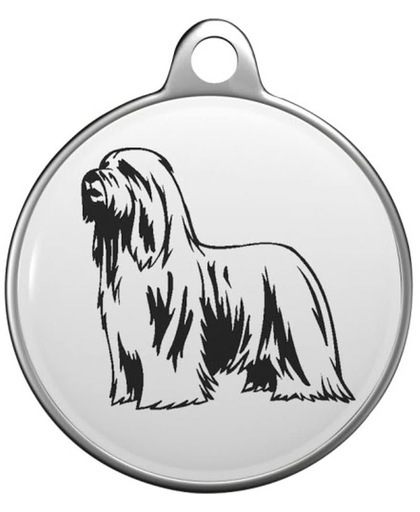Bearded Collie Tommy Tag B014