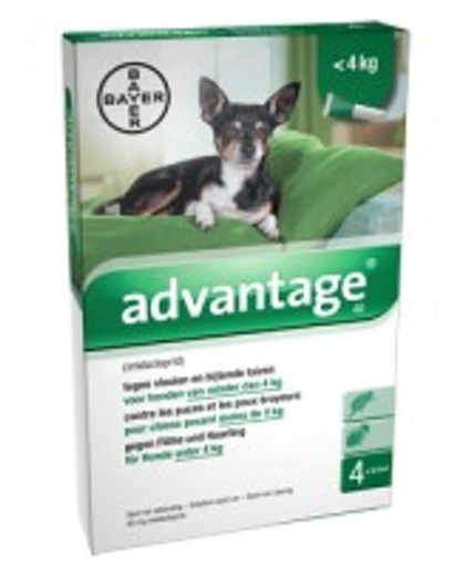 Advantage 40 Anti vlooienmiddel Hond - 4 pipetten