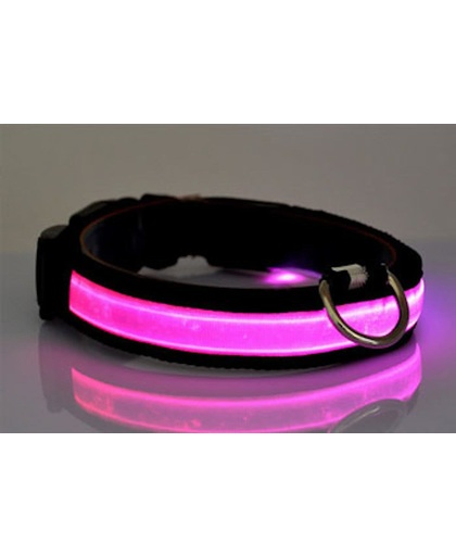 LED verlichte hondenhalsband - roze - maat M