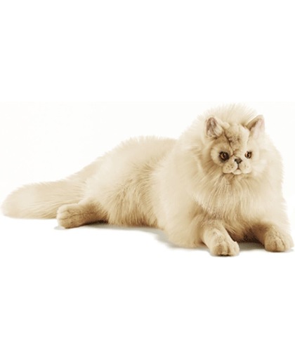 Pluche perzische kat beige 50 cm