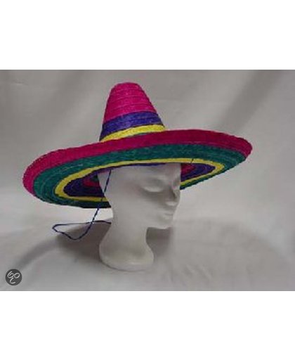 Sombrero Gekleurd 50Cm Regenboog Punt