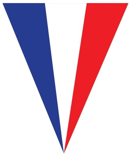 Frankrijk vlaggenlijn / slingers / slingers 5 meter