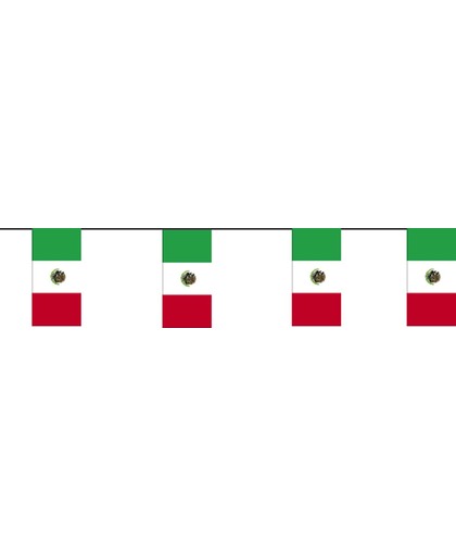 Vlaggen slinger Mexico
