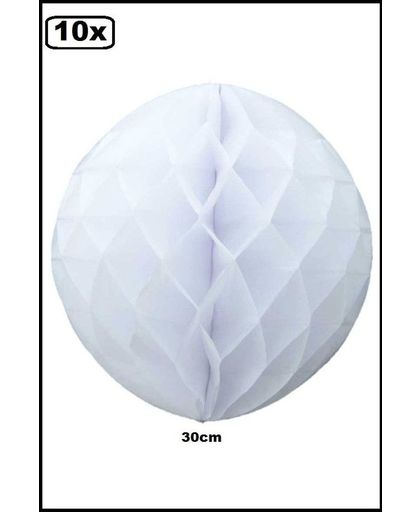 10x Honeycomb bolvorm 30 cm wit