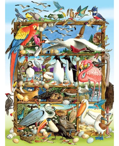 Cobble Hill Legpuzzel Vogels van de wereld 400 stukjes