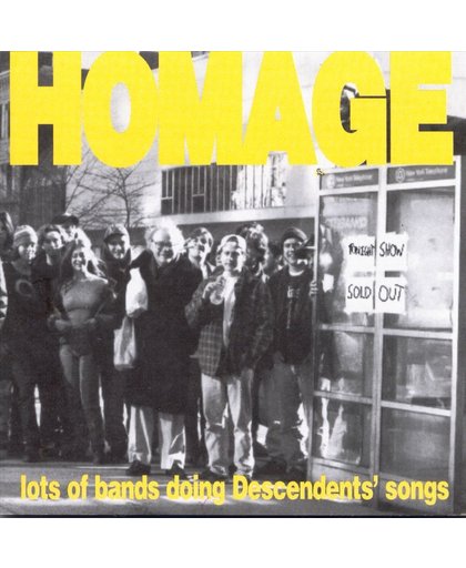 Homage: Lots of Bands Doing Descendents' Songs