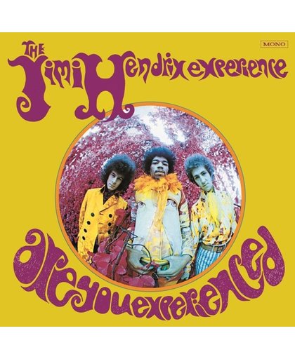 Are You Experienced -Hq-