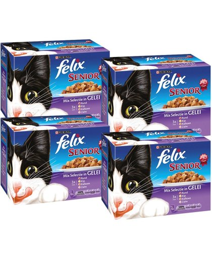 FELIX Mix Selectie In Gelei Senior - Kattenvoer - 4 x (12 x 100) gr