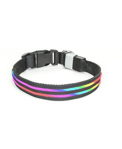 LED Halsband Oplaadbaar Multicolor 40 - 50cm PX1 Hilox